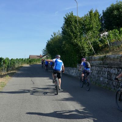 041 vorbei am Würenlinger Rebhang